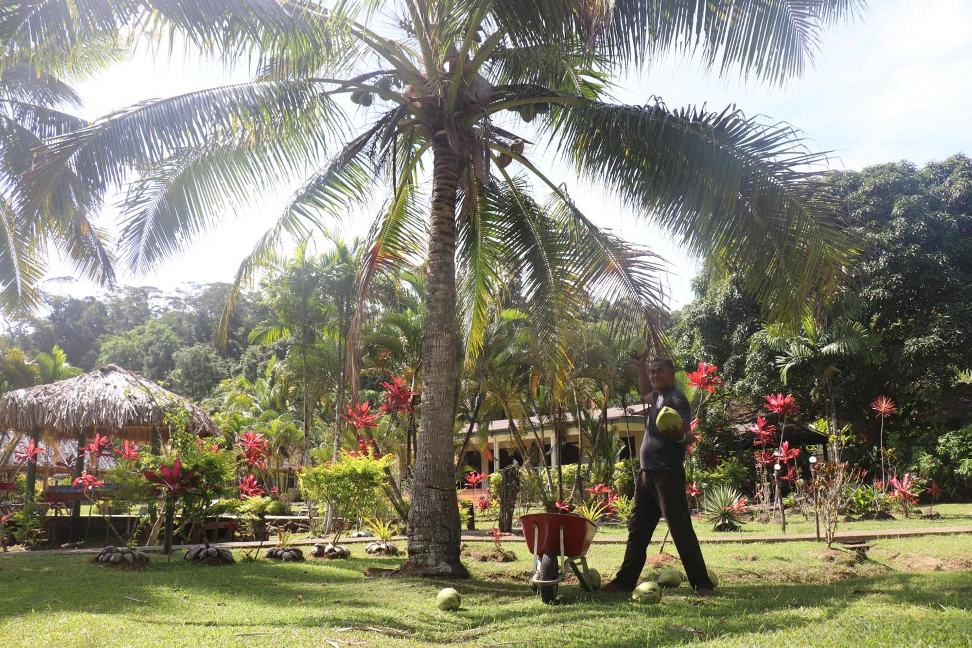 Waidroka Bay Resort Deuba Luaran gambar